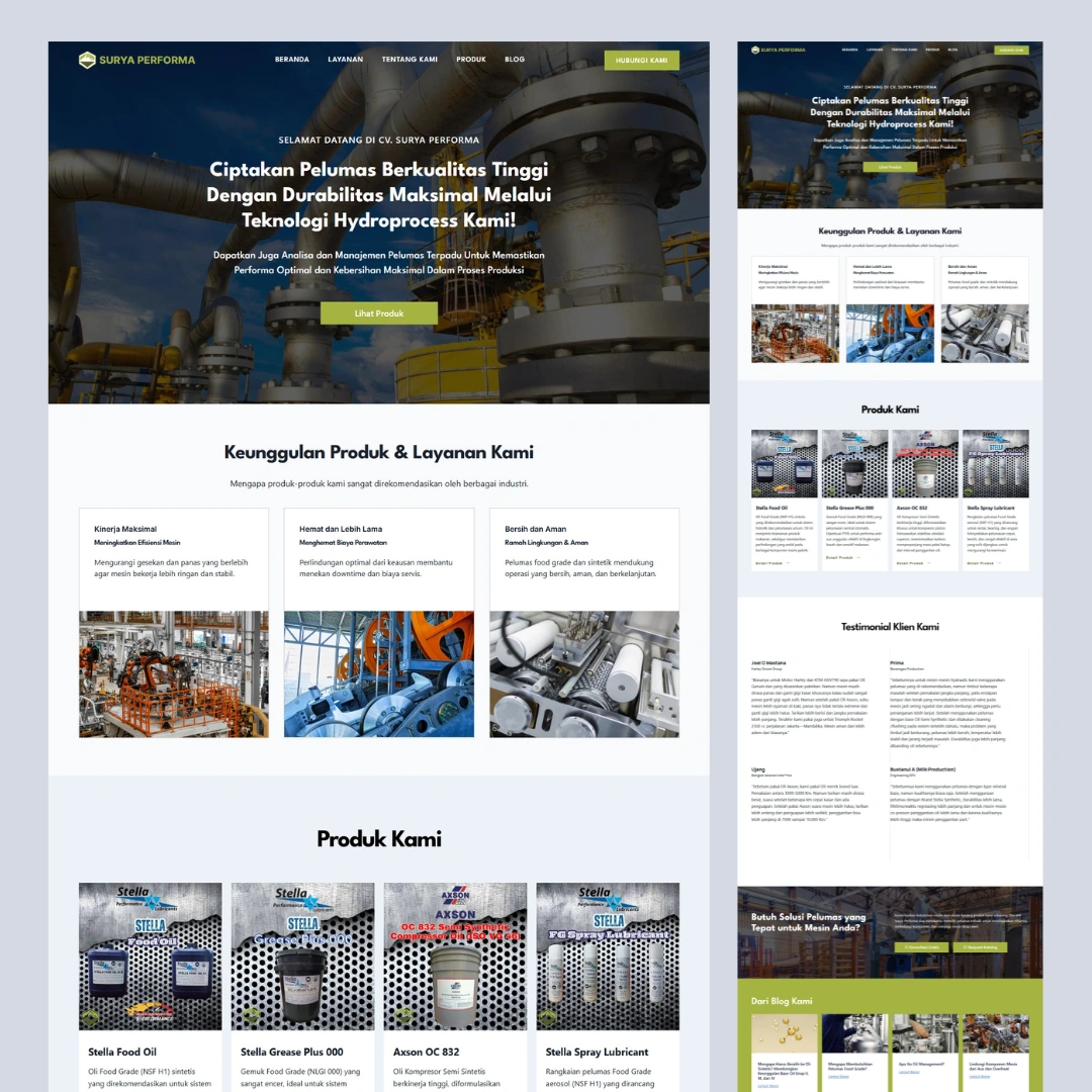 website profesional